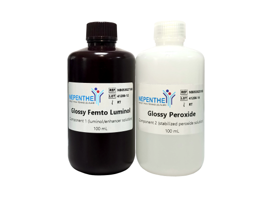 glossy femto hrp substrate